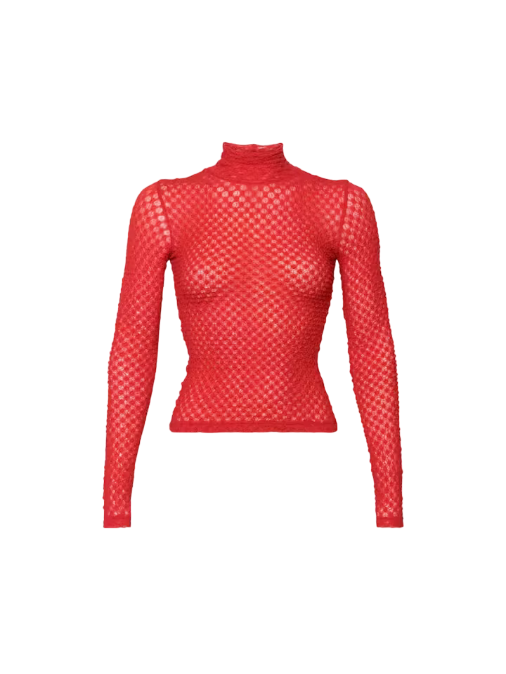Fishnet turtleneck 2025