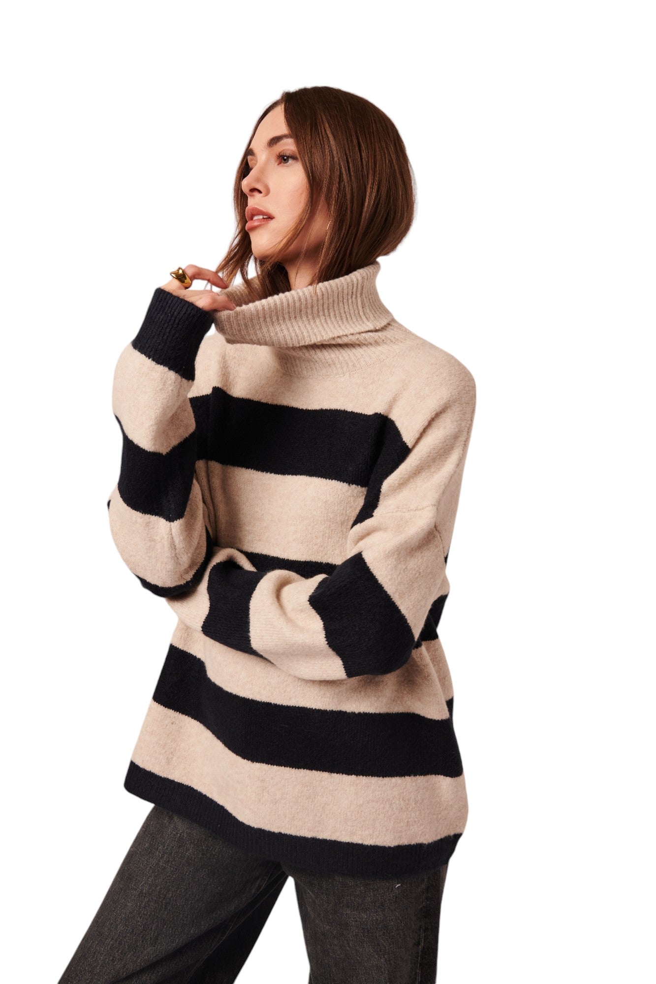 Bronx Turtleneck - Cream and Black Stripe